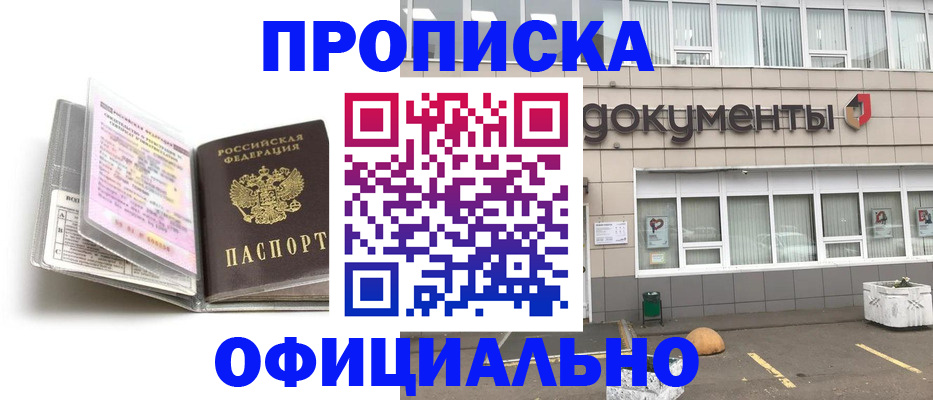 прописка поиск в Купино